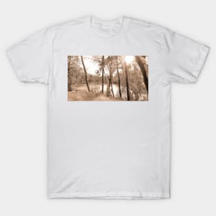 Winter Dream Sepia T-Shirt